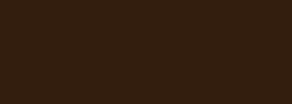 #331e0e Color Information
