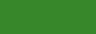 #37872a Color Information