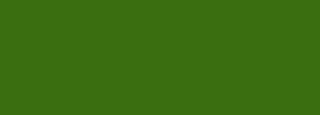 #3a6e10 Color Information