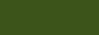 #3c531a Color Information