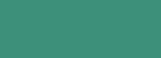 #3d907a Color Information