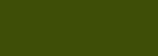 #3e4e07 Color Information