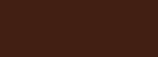 #421f13 Color Information