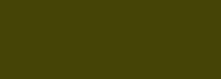 #454406 Color Information