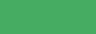 #46aa60 Color Information