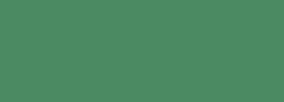 #4b8a62 Color Information