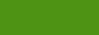 #4e9313 Color Information