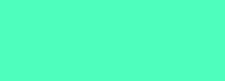 #4efebd Color Information