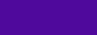 #4f099c Color Information