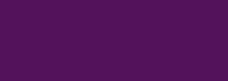 #53125b Color Information
