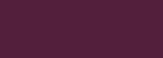 #531f3c Color Information