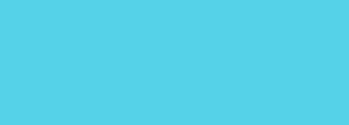 #55d2e8 Color Information