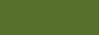 #57712d Color Information