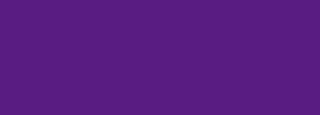 #591c82 Color Information