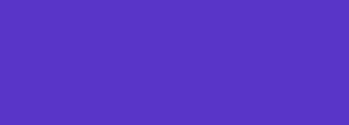 #5935c8 Color Information