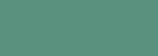 #5a907e Color Information