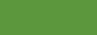 #5a973d Color Information