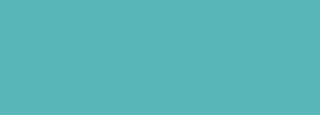 #5ab7b9 Color Information