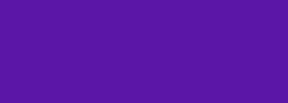 #5b16a7 Color Information