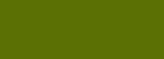 #5b7004 Color Information