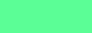#5bfe96 Color Information