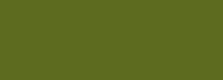 #5d6b1f Color Information