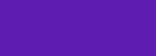#5e1cb0 Color Information