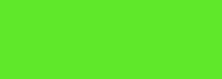 #5fe82a Color Information
