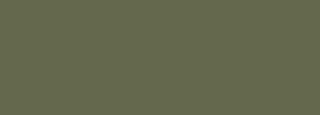 #64684d Color Information