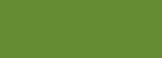 #658c33 Color Information