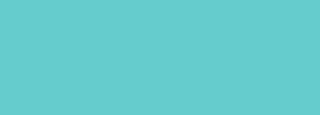 #65cccd Color Information