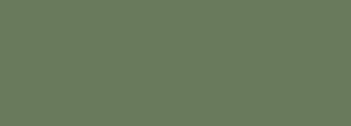 #697a5c Color Information
