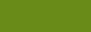 #698b18 Color Information