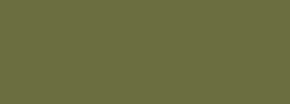 #6b6e40 Color Information