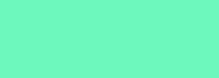 #6df8bd Color Information