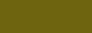 #6e640f Color Information