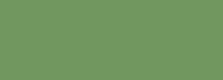 #71975f Color Information