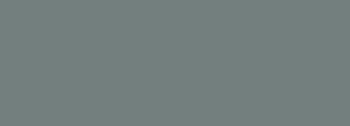#737f7e Color Information