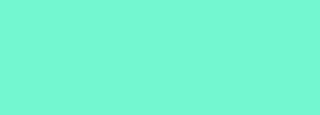 #73f7d0 Color Information