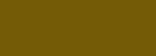 #745b06 Color Information