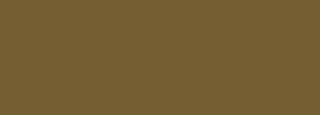 #755e31 Color Information