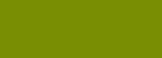 #798e02 Color Information