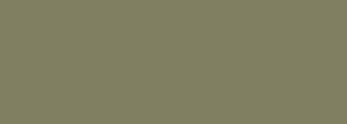 #807f62 Color Information