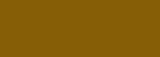 #865e06 Color Information