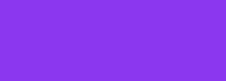 #8a37ef Color Information