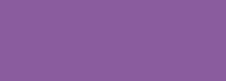 #8a5c9e Color Information