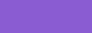 #8a5cd2 Color Information