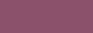 #8b516b Color Information