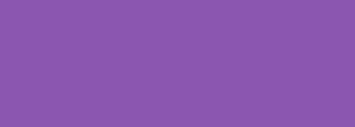 #8b58b0 Color Information