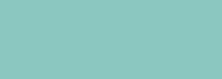 #8bc7c0 Color Information